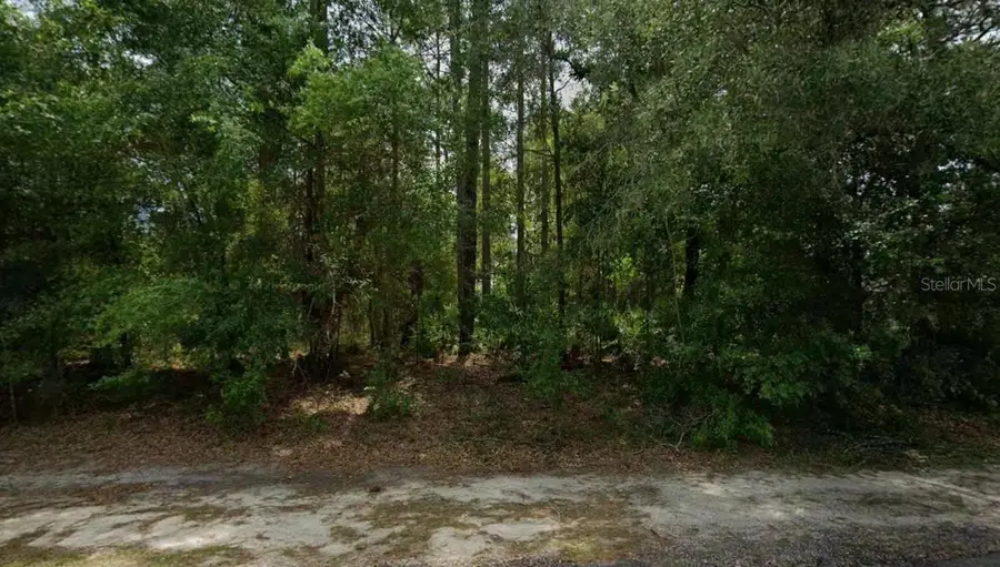 660 W Anderson Lane, Citrus Springs, FL 34434 - #2