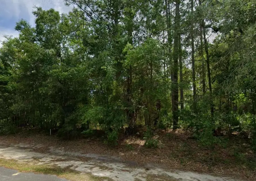 660 W Anderson Lane, Citrus Springs, FL 34434 - #3