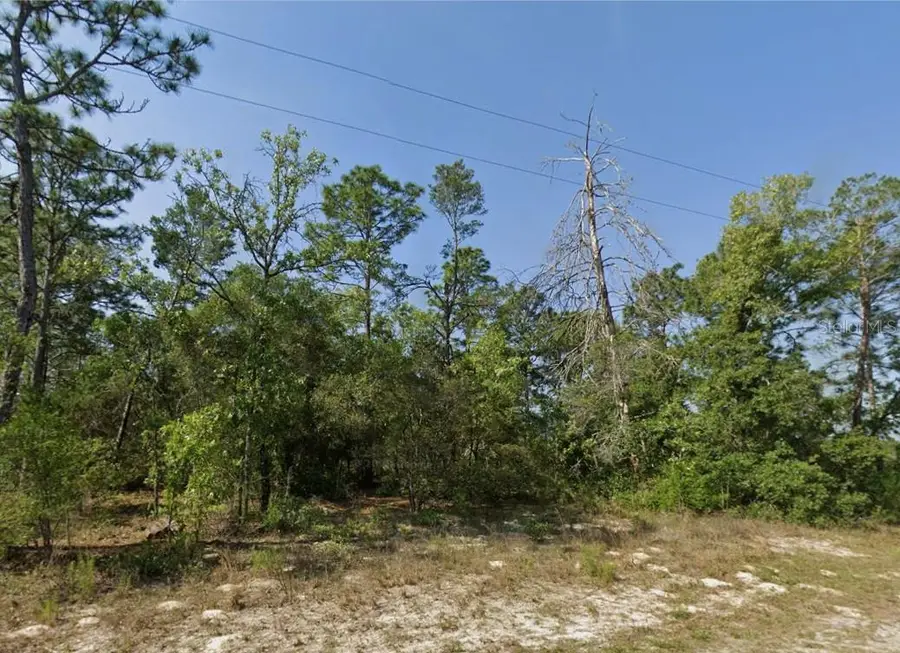 4230 W Fountain Lane, Citrus Springs, FL 34433 - #3