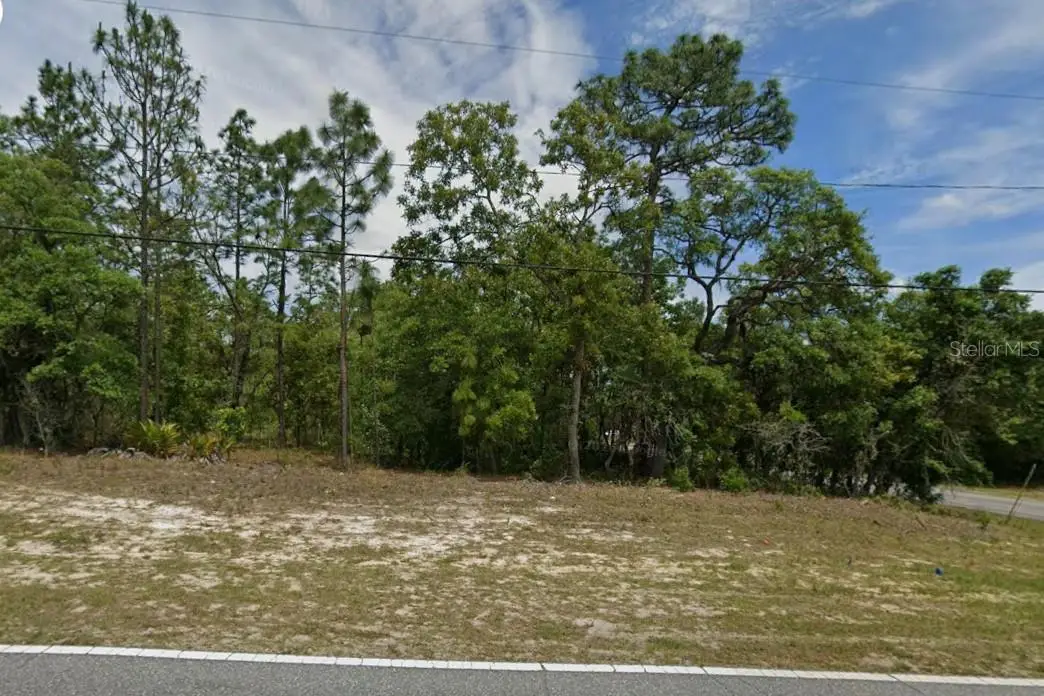 873 W Hampshire Boulevard, Citrus Springs, FL 34434 - #1