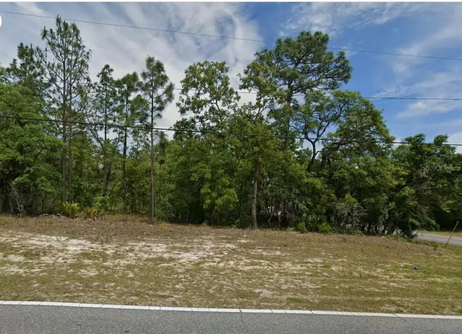 873 W Hampshire Boulevard, Citrus Springs, FL 34434 - #3