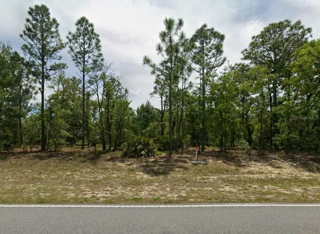 1782 W Hampshire Boulevard, Citrus Springs, FL 34434 - #1