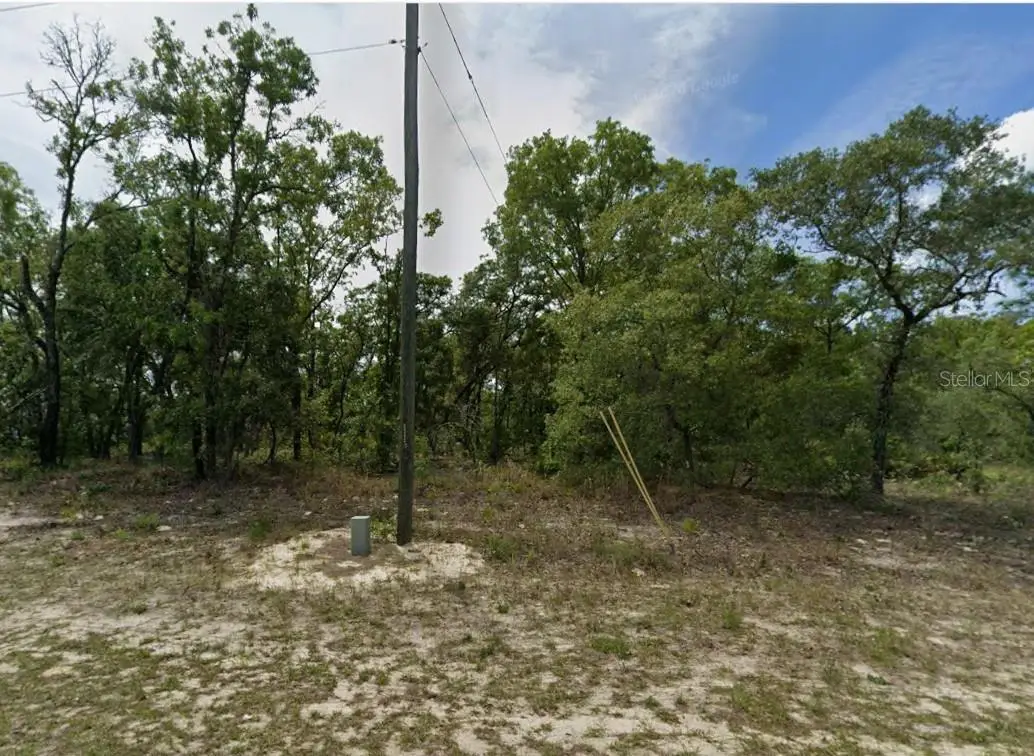 1418 W Hampshire Boulevard, Citrus Springs, FL 34434 - #1