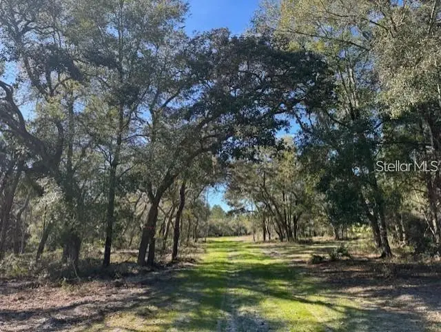 TBD NE 150th Ave Road #LOT 5, Fort McCoy, FL 32134 - #1