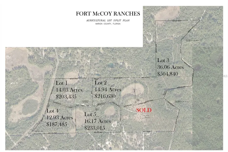 TBD NE 150th Ave Road #LOT 5, Fort McCoy, FL 32134 - #2