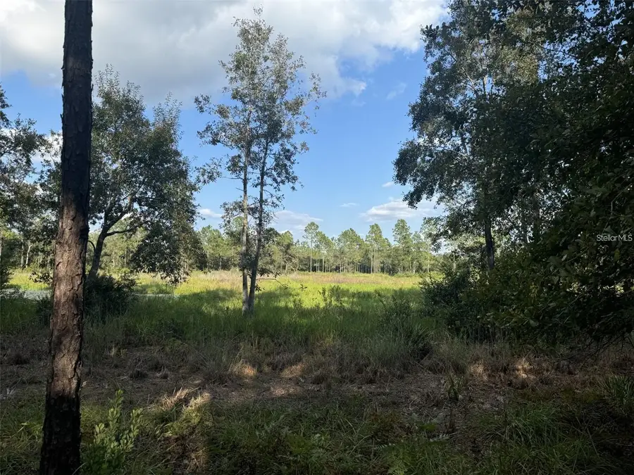 TBD NE 150th Ave Road #LOT 5, Fort McCoy, FL 32134 - #3