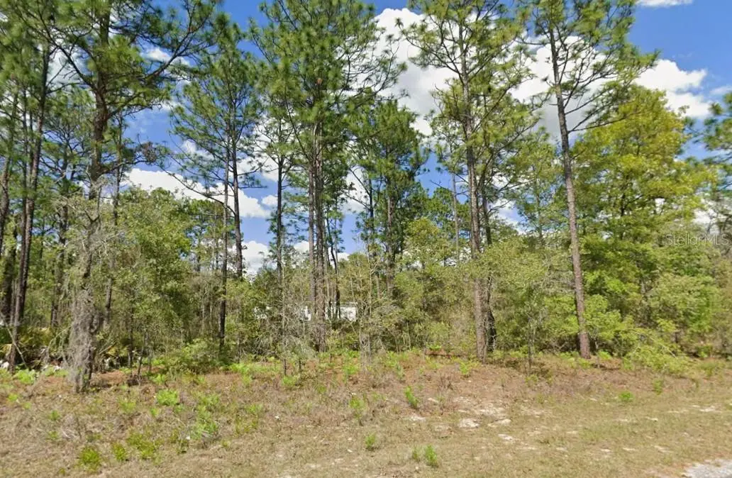 2175 W Galaxy Lane, Citrus Springs, FL 34434 - #1
