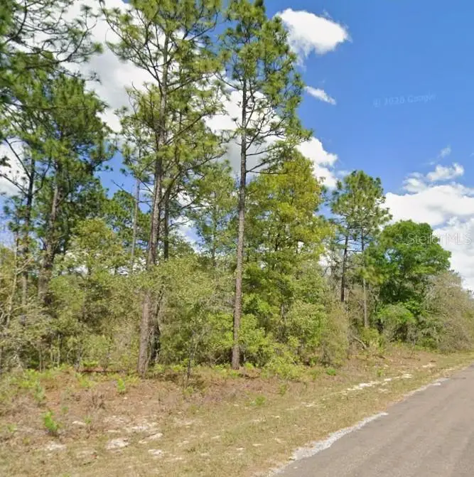2175 W Galaxy Lane, Citrus Springs, FL 34434 - #3