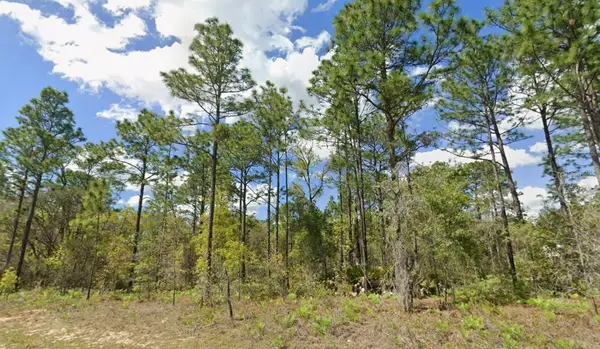 2193 W Galaxy Lane, CITRUS SPRINGS, FL 34434