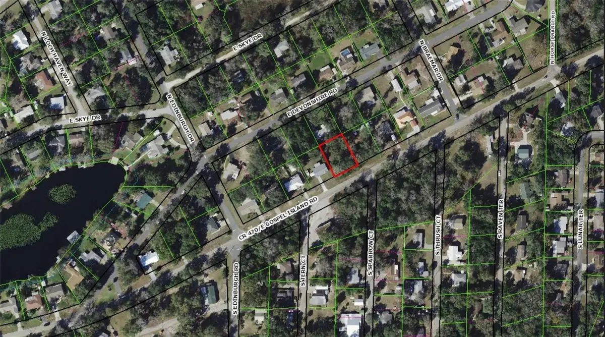 8731 E Gospel Island Road, Inverness, FL 34450 - #1