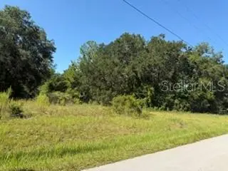 TBD SE 59th Place, OCKLAWAHA, FL 32179
