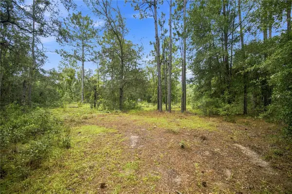 21350 SE 66th Street, MORRISTON, FL 32668