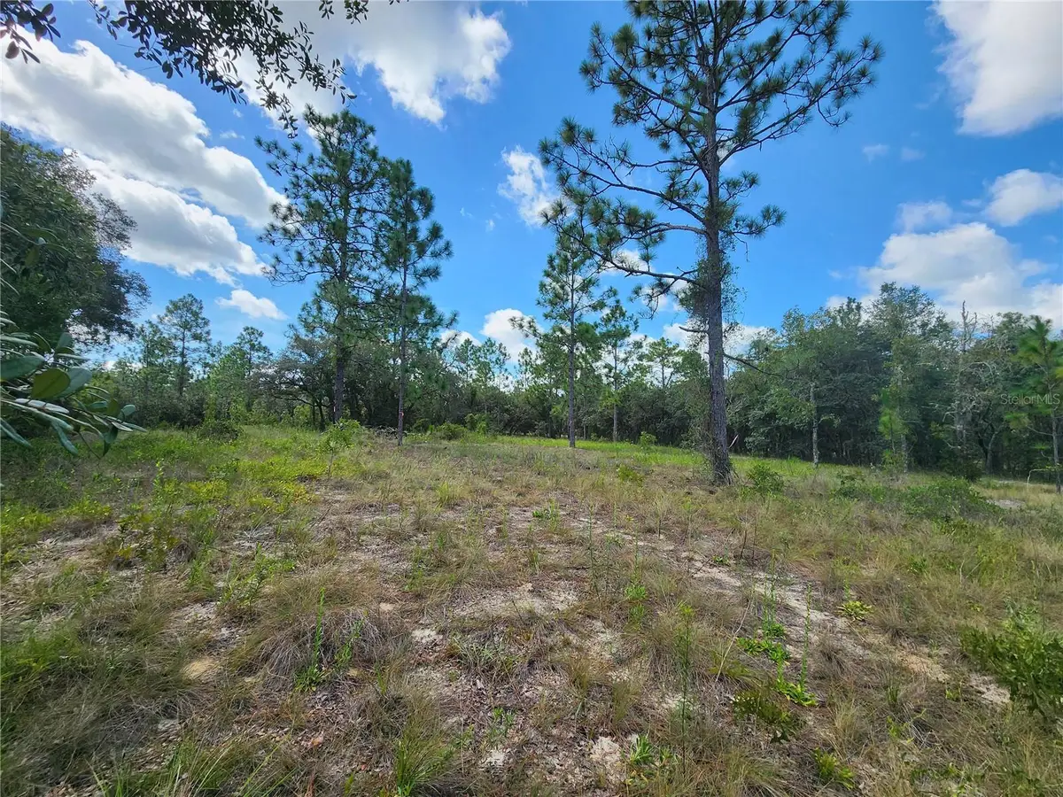 SW Nectarine Lane, Dunnellon, FL 34431 - #1