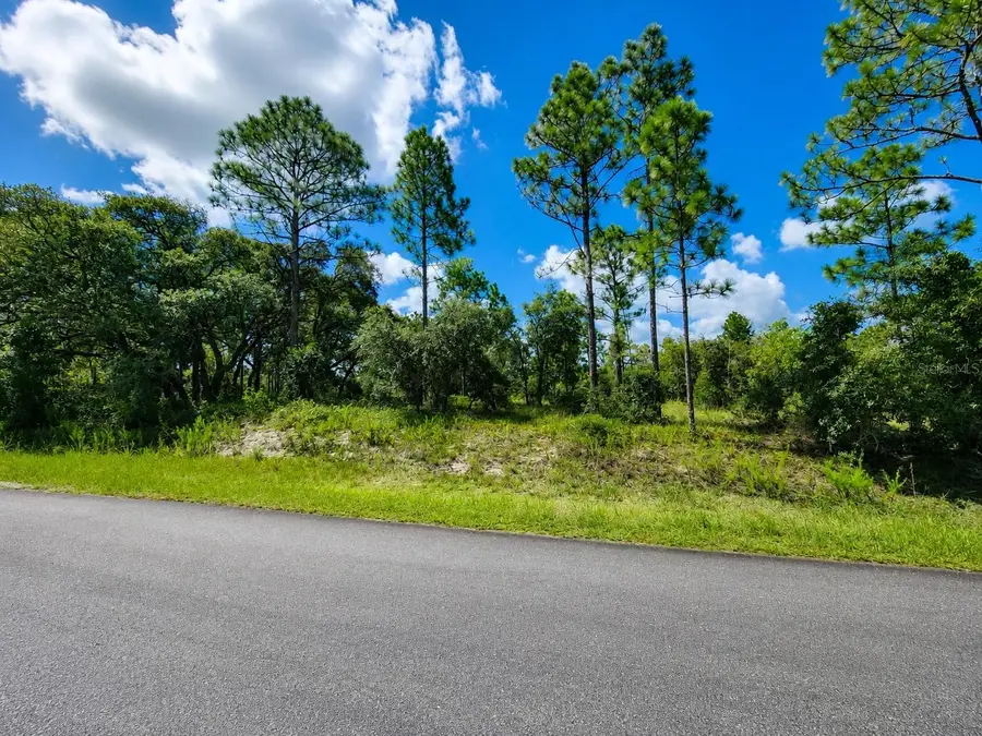 SW Nectarine Lane, Dunnellon, FL 34431 - #3