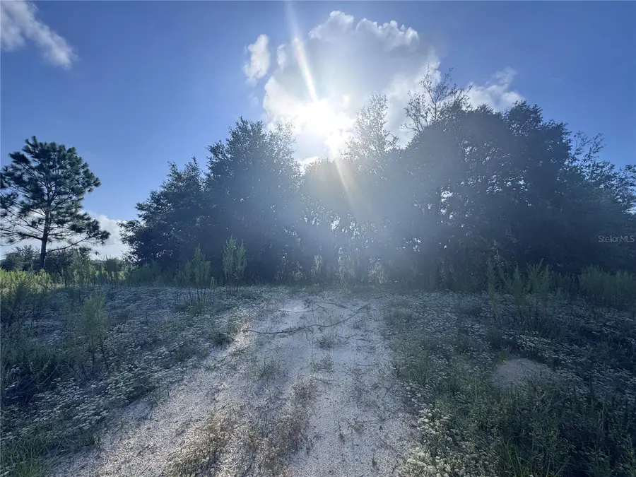 2251 E Four Seasons Lane, Inverness, FL 34453 - #3