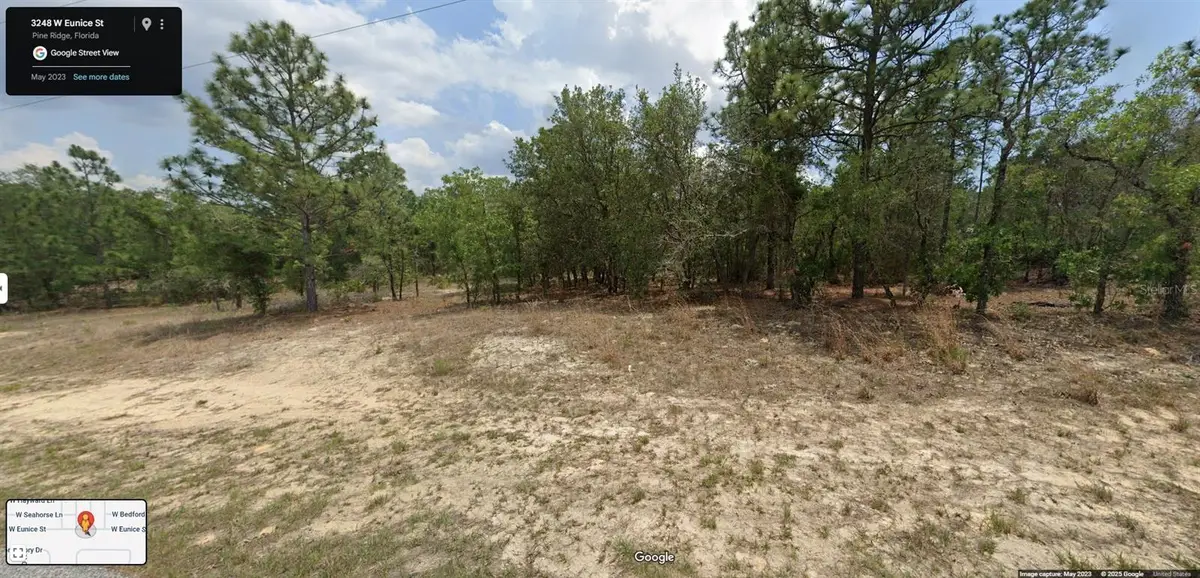 3248 W Eunice Drive, Citrus Springs, FL 34433 - #1