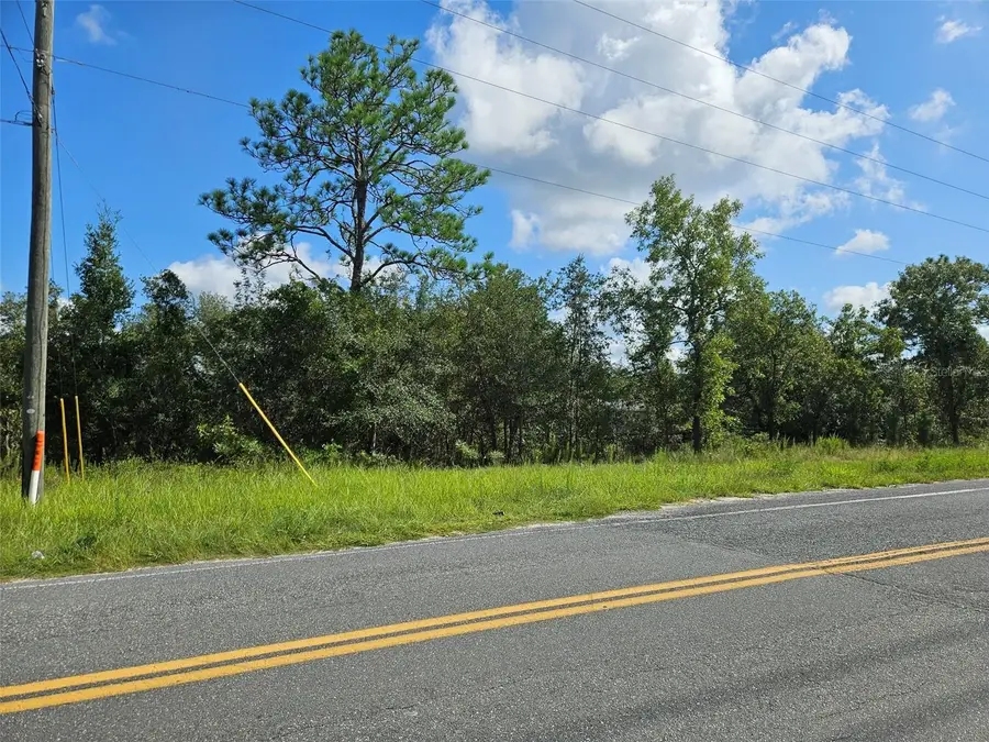 0000 NE 60th Street, Bronson, FL 32621 - #2