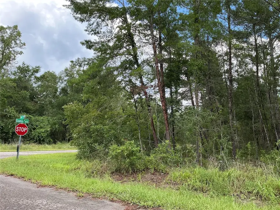 LOT 1 Bay Court Pass, Ocklawaha, FL 32179 - #3