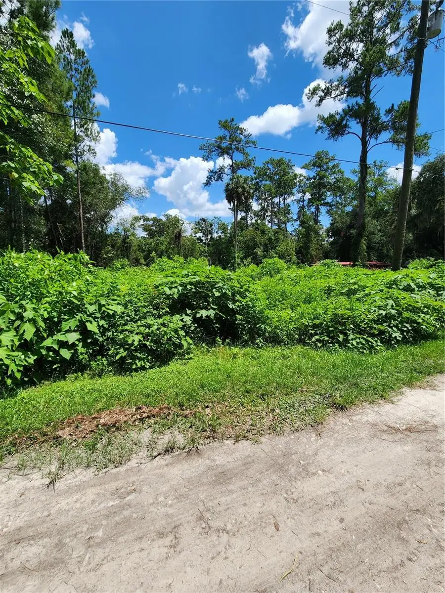 5221 SE 25th Avenue, Ocala, FL 34480 - #2