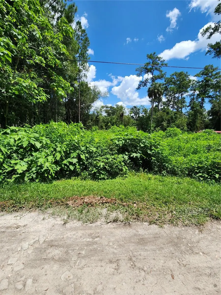 5221 SE 25th Avenue, Ocala, FL 34480 - #3