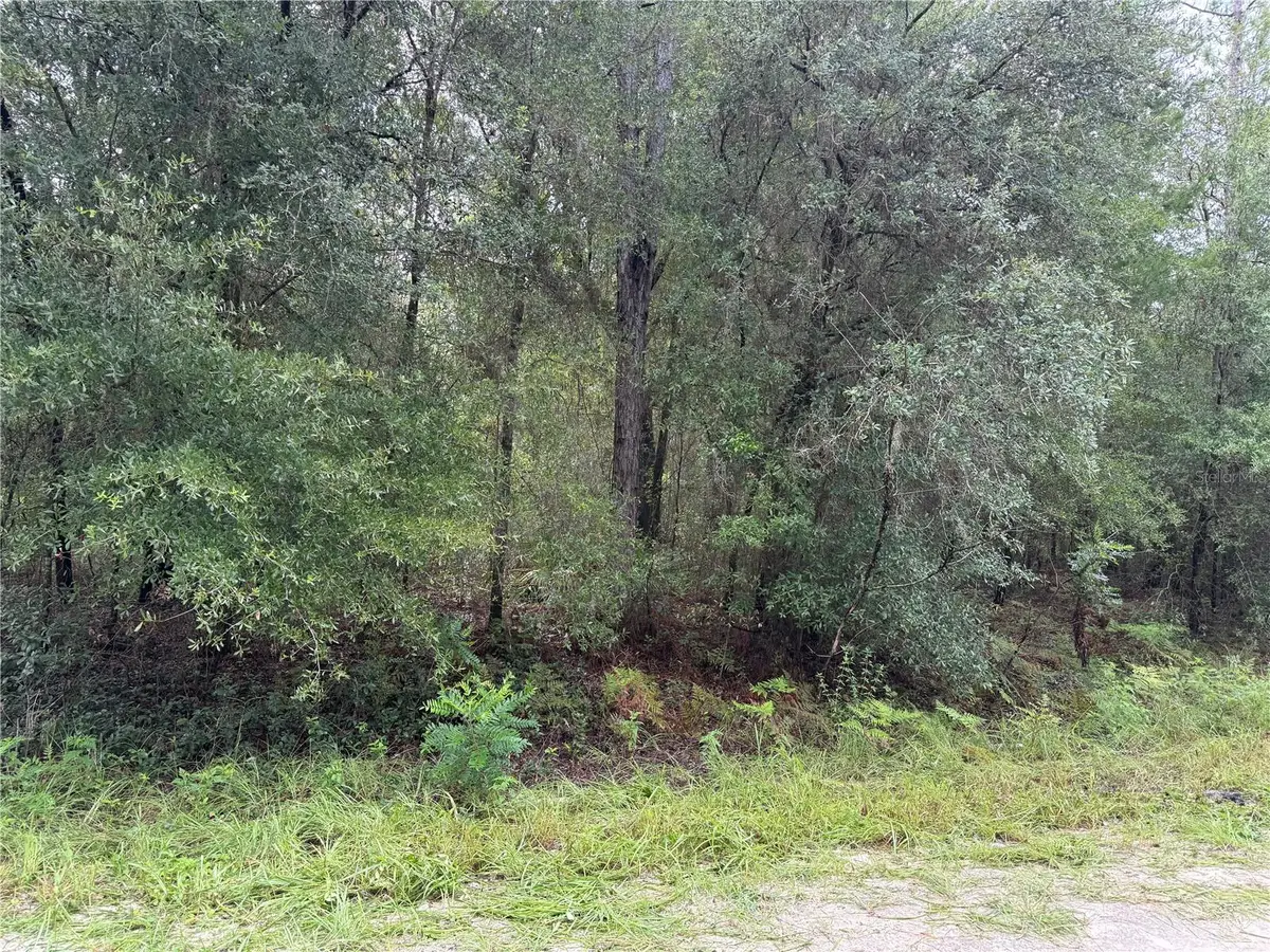 tbd Sw 125th Terrace, Dunnellon, FL 34432 - #1