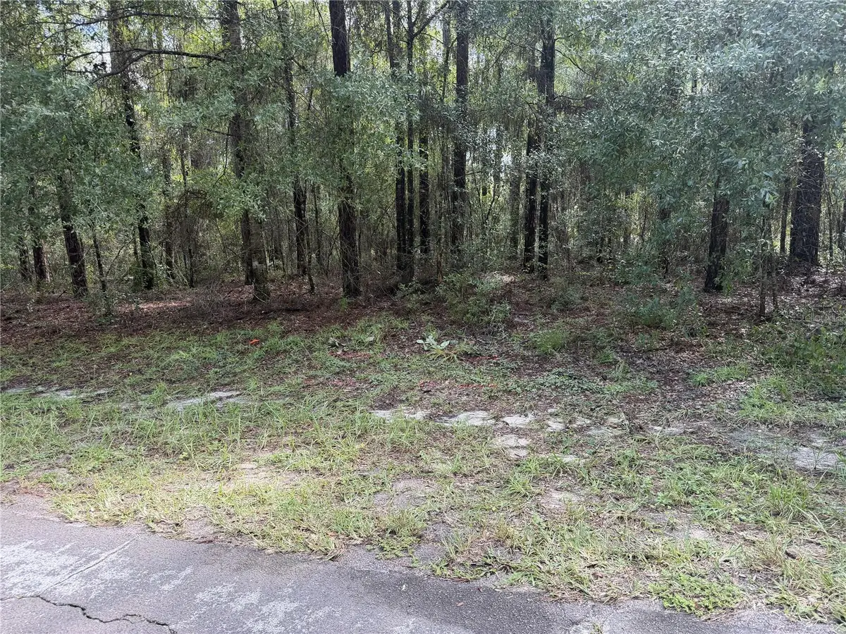 10075 N Biscayne Drive, Citrus Springs, FL 34434 - #1