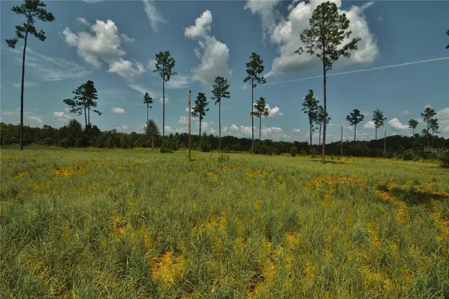 00 99th Lane, Live Oak, FL 32060 - #2