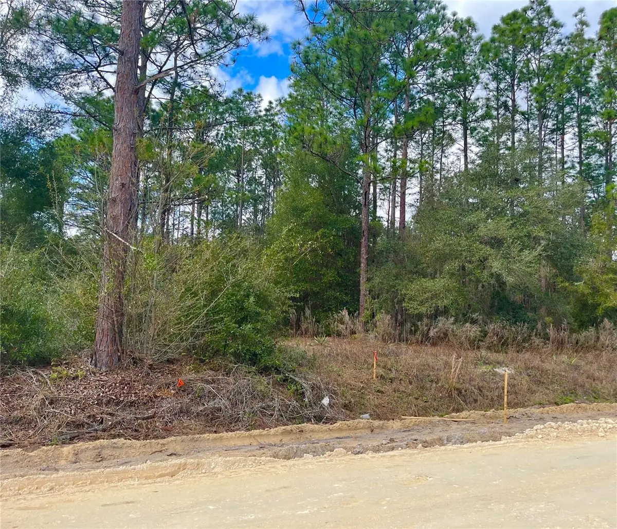 0 Sw 152nd Terrace, Ocala, FL 34481 - #1