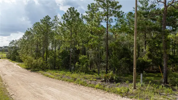 00 NE 49th Street, WILLISTON, FL 32696