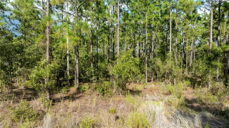 00 NE 49th Street, Williston, FL 32696 - #2