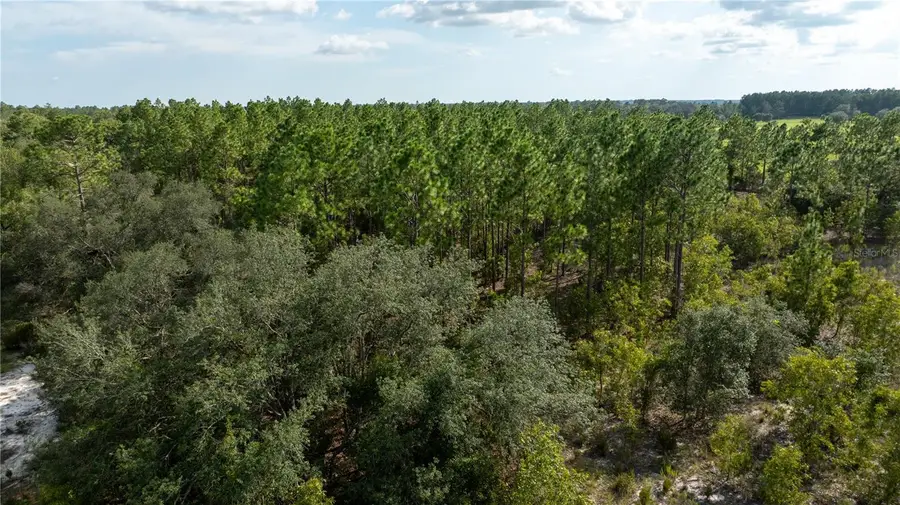 00 NE 49th Street, Williston, FL 32696 - #3