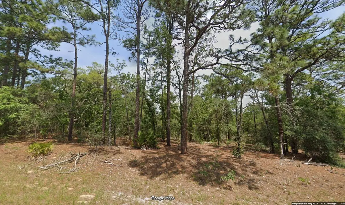 11351 N Kenney Loop, Citrus Springs, FL 34433 - #1