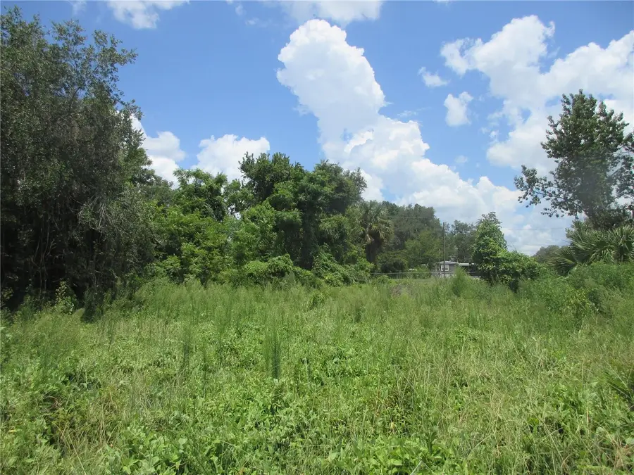 TBD SE 18th Street, Silver Springs, FL 34488 - #2