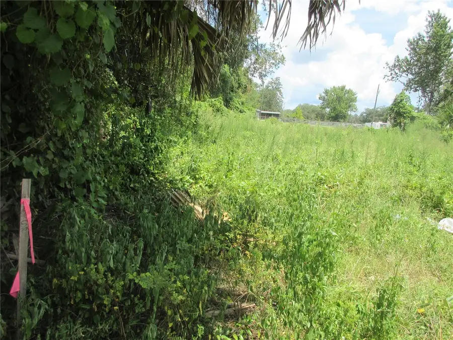 TBD SE 18th Street, Silver Springs, FL 34488 - #3