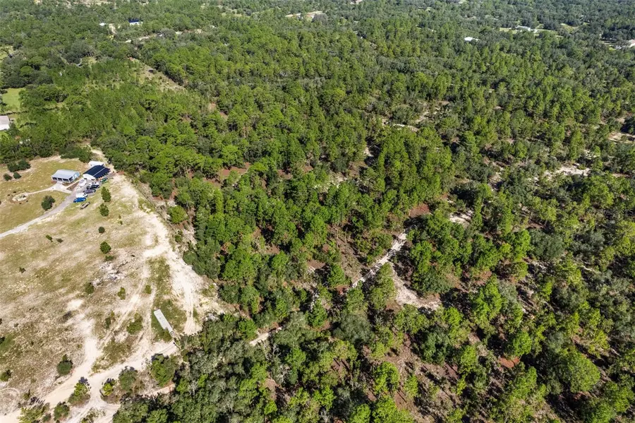 10686 N Statue Point, Dunnellon, FL 34433 - #2