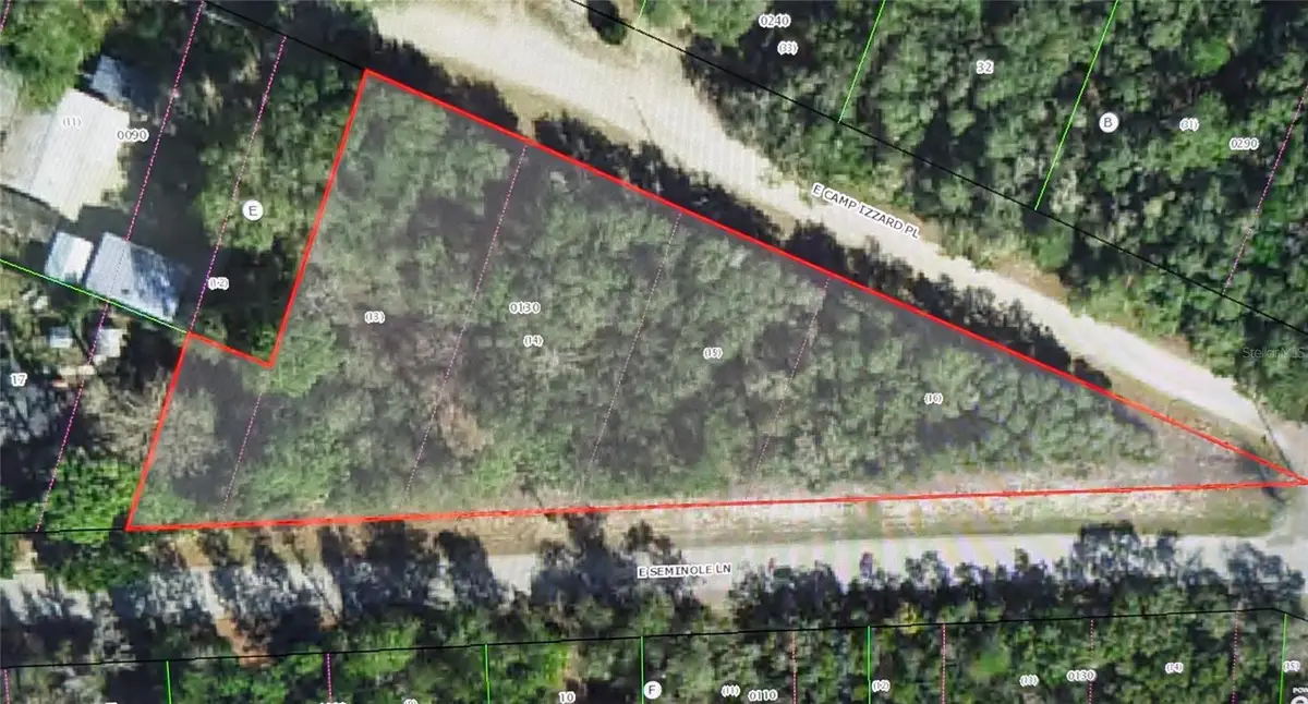 4114 E Camp Izzard Place, Dunnellon, FL 34434 - #1