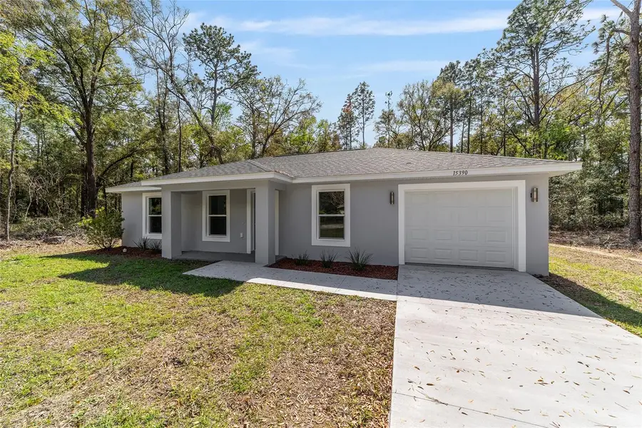 1825 SW 150th Court, Ocala, FL 34481 - #3