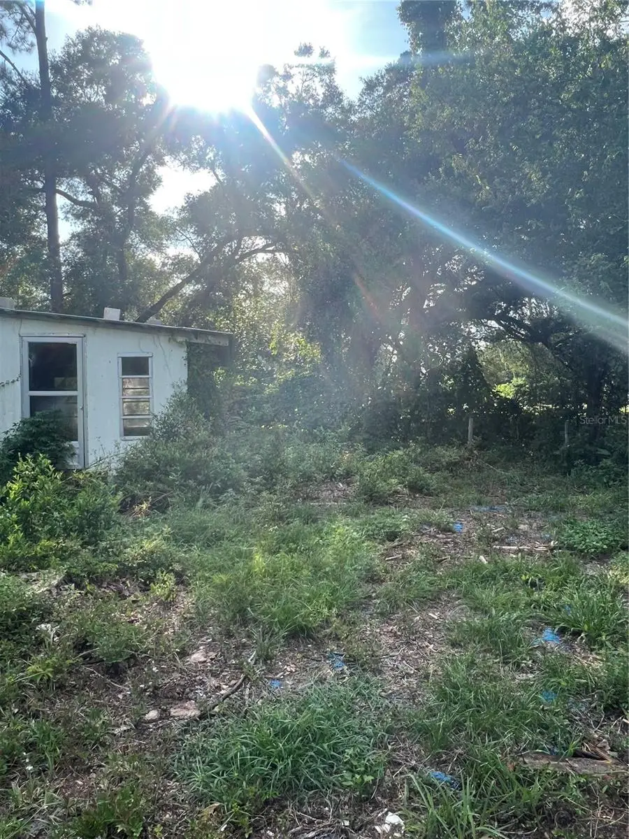 3250 197th Court, Morriston, FL 32668 - #3