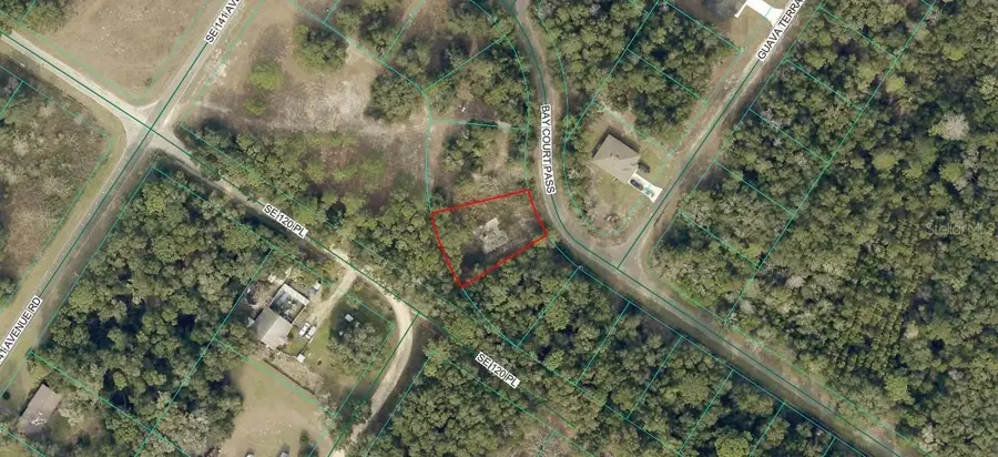 77 Bay Court Pass, Ocklawaha, FL 32179 - #2
