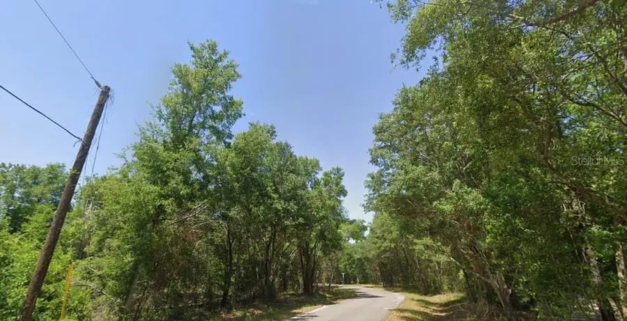 77 Bay Court Pass, Ocklawaha, FL 32179 - #3