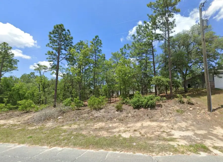 3065 W Sharpes Drive, Citrus Springs, FL 34433 - #3