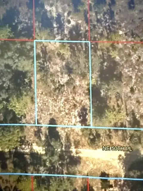 00 NE 50th Place, Williston, FL 32696 - #1