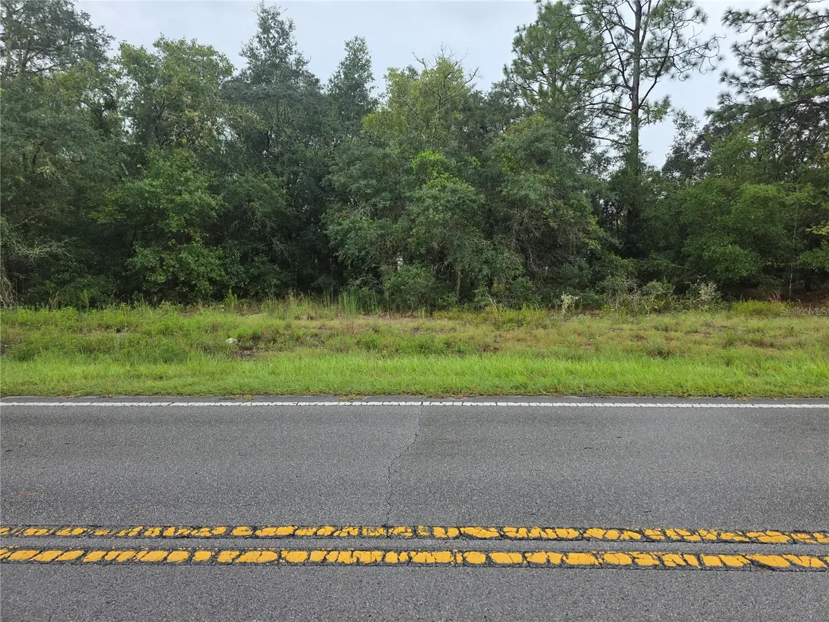 Lot 16 SW Marine Boulevard, Dunnellon, FL 34431 - #1