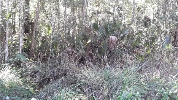17768 NW 296th Street, OKEECHOBEE, FL 34972