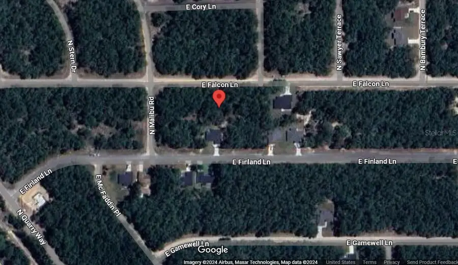 194 E Falcon Street, Citrus Springs, FL 34434 - #3
