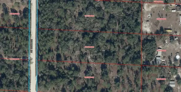 NE 136th Avenue, WILLISTON, FL 32696
