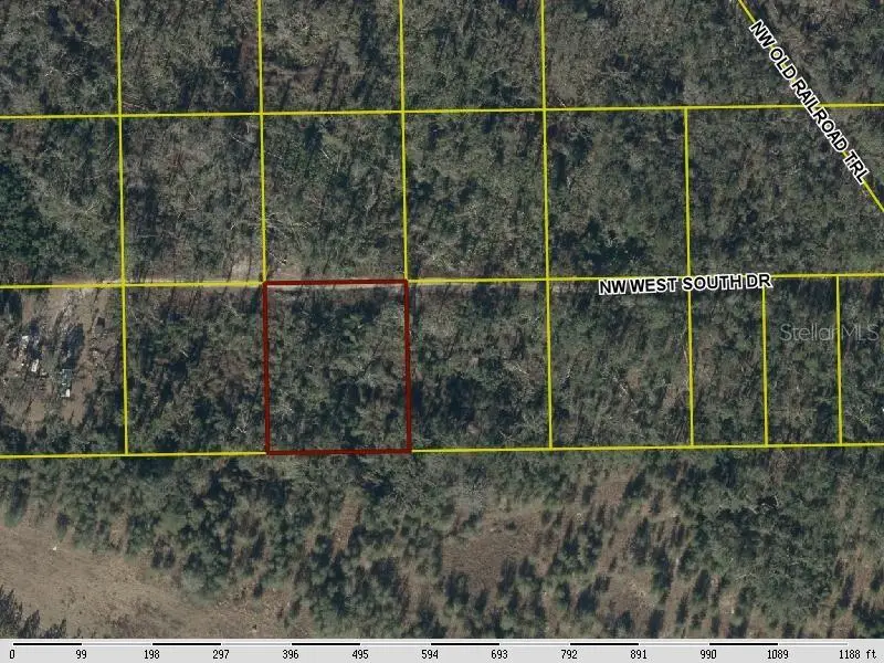 Nw West South Drive, Mayo, FL 32066 - #1