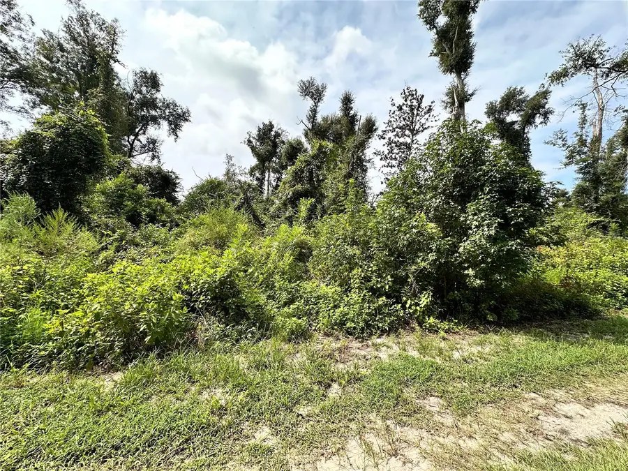 Nw West South Drive, Mayo, FL 32066 - #3