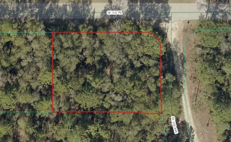 00 SE 132nd Place, Ocklawaha, FL 32179 - #1