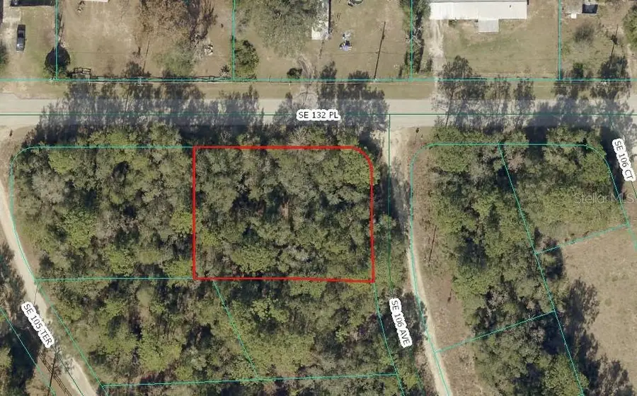 00 SE 132nd Place, Ocklawaha, FL 32179 - #2